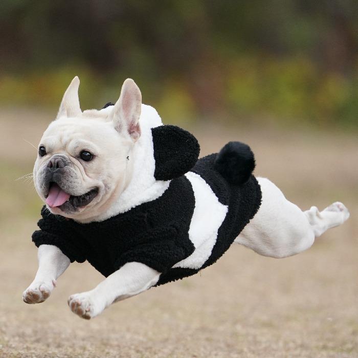 フレンチブルドッグ 服 フレブル 犬 ドッグウェア 秋 冬 暖かい パンダ