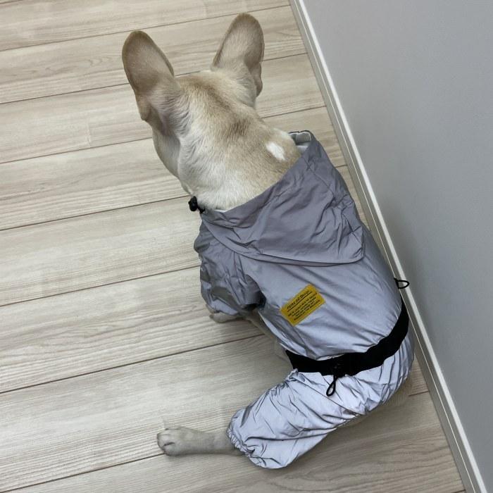 犬 フレンチブルドッグ レインコート カエル 反射素材 防風 防水