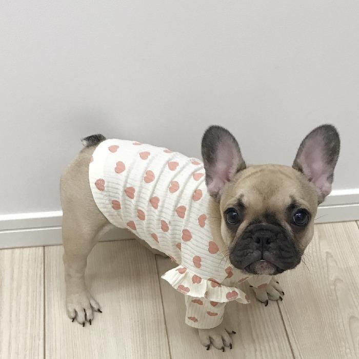 フレンチブルドック　犬　ソファーカバー　モコモコ　スリッパ 楽天市場】【新色追加】【高評価】フレンチブルドック 服 吸湿