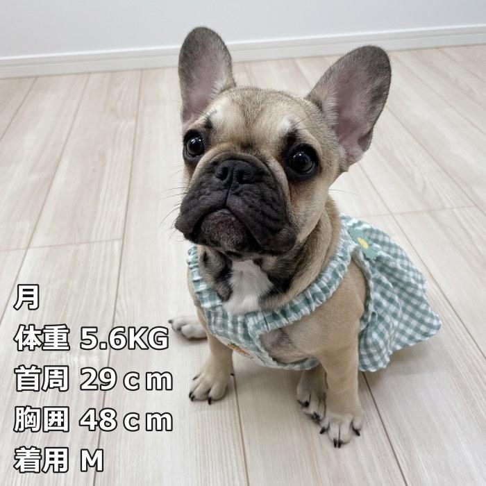 超ポイントアップ祭 犬服 春 夏 ワンピース フレンチブルドッグ 服 中型犬 小型犬 フレブル グリーン 白黒 チェック柄 花 女の子 スカート フリル 犬 ドッグウェア Discoversvg Com