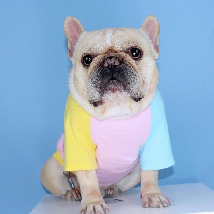 犬 春 夏服 中型犬 フレンチブルドッグ フレブル タンクトップ