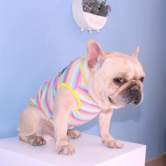 犬 春 夏服 中型犬 フレンチブルドッグ フレブル タンクトップ