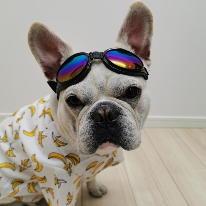 犬 アロハシャツ 夏 フレンチブルドッグ 服 ペット用 シャツ 海 