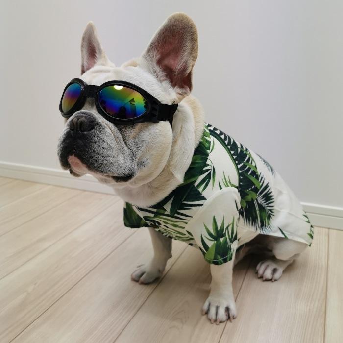 犬 アロハシャツ 夏 フレンチブルドッグ 服 ペット用 シャツ 海