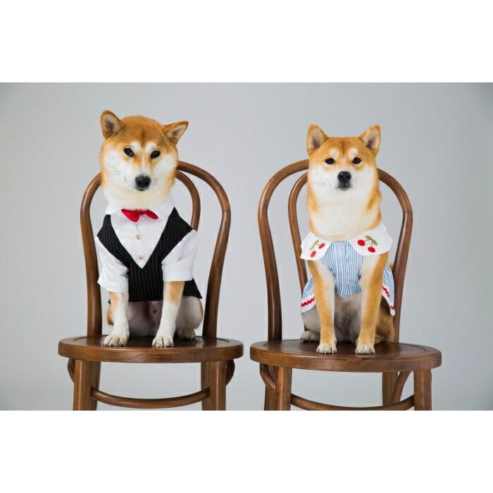 ペット用 ペットウェア フレブル フレンチブルドック 犬服 ブルー