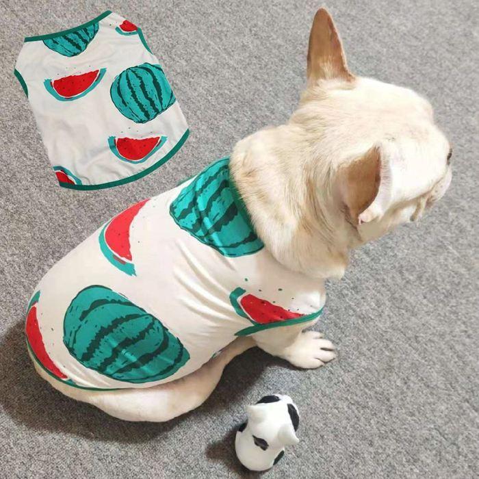 犬 春 夏服 中型犬 フレンチブルドッグ フレブル スイカ 夏 グリーン