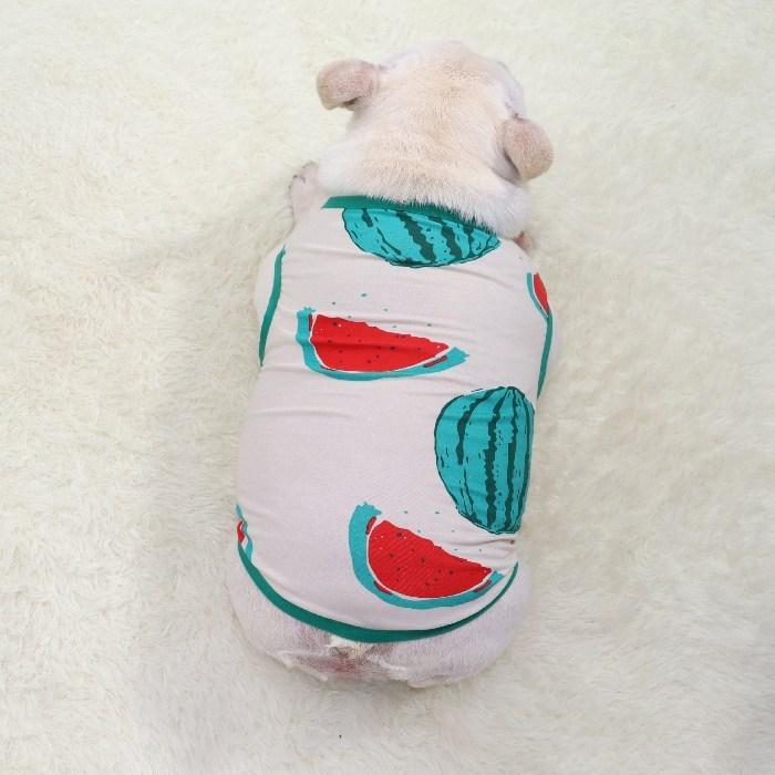 犬 春 夏服 中型犬 フレンチブルドッグ フレブル スイカ 夏 グリーン