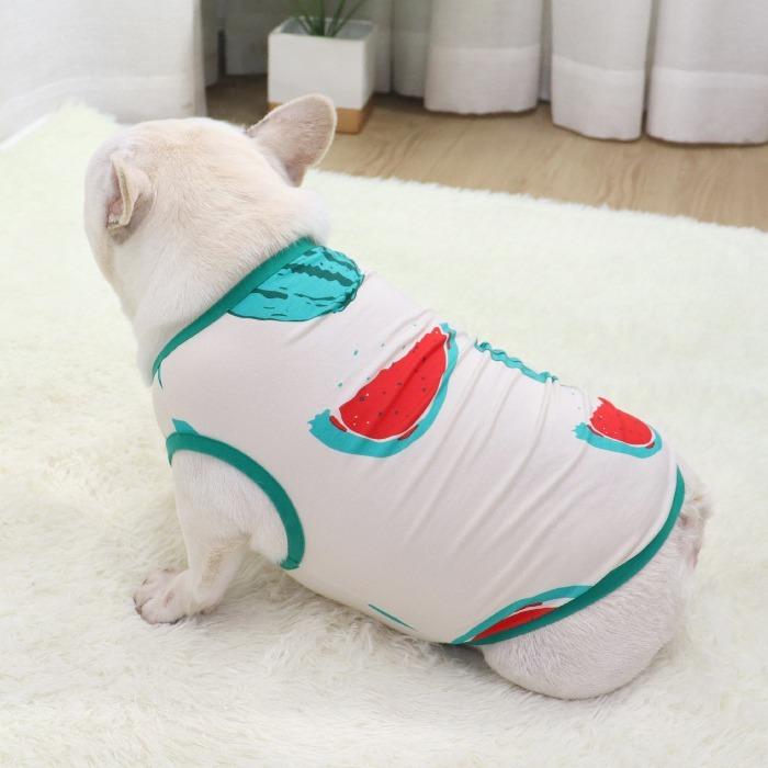 犬 春 夏服 中型犬 フレンチブルドッグ フレブル スイカ 夏 グリーン