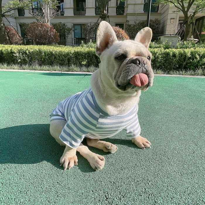 スマイル刺繍 ボーダーTシャツ ペアルック可能 フレブル フレンチ