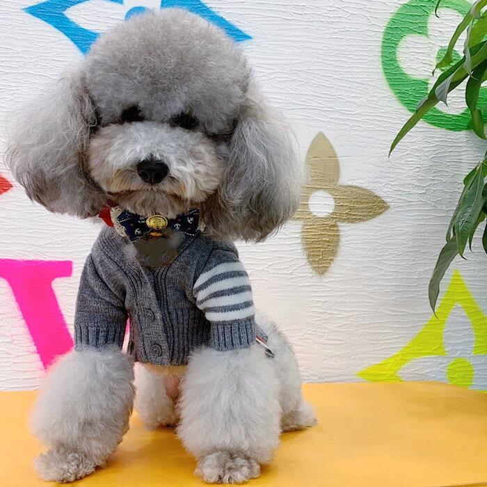 フレンチブルドッグ 犬 Km101ts あたたかい おしゃれ もこもこ カジュアル コーデ セーター ドッグウェア ニット ペット服 ボーダー ルームウェア 中型犬 冬 大型犬 小型犬 服 洋服 秋 部屋着 22 新作 服