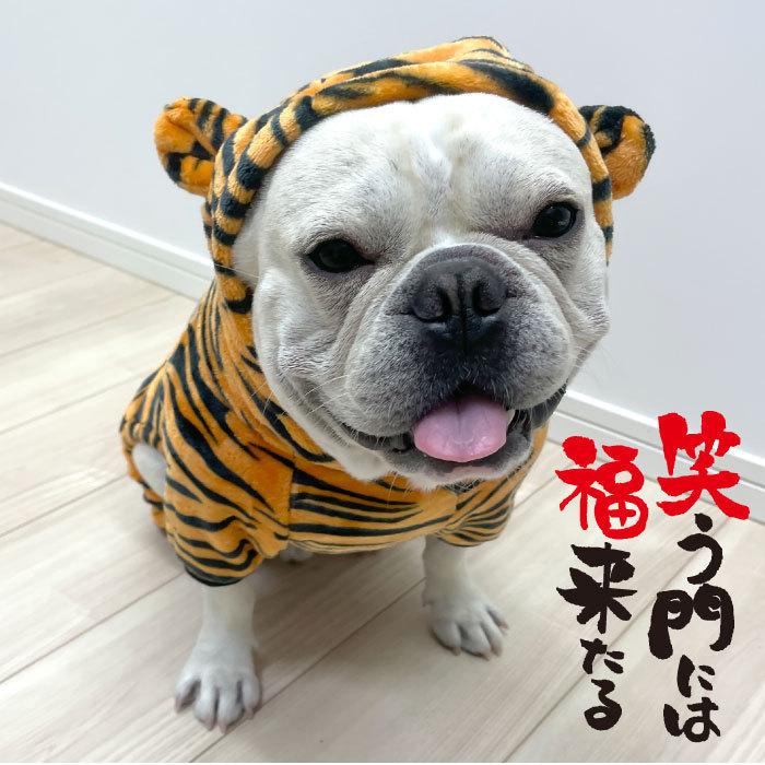 犬 服 フレンチブルドッグ フレブル 寅 犬服 秋 冬 ロンパース オールインワン 年賀状 フード付 コスプレ ハロウィン 丑年 Km400op Km400op Bestwear 通販 Yahoo ショッピング