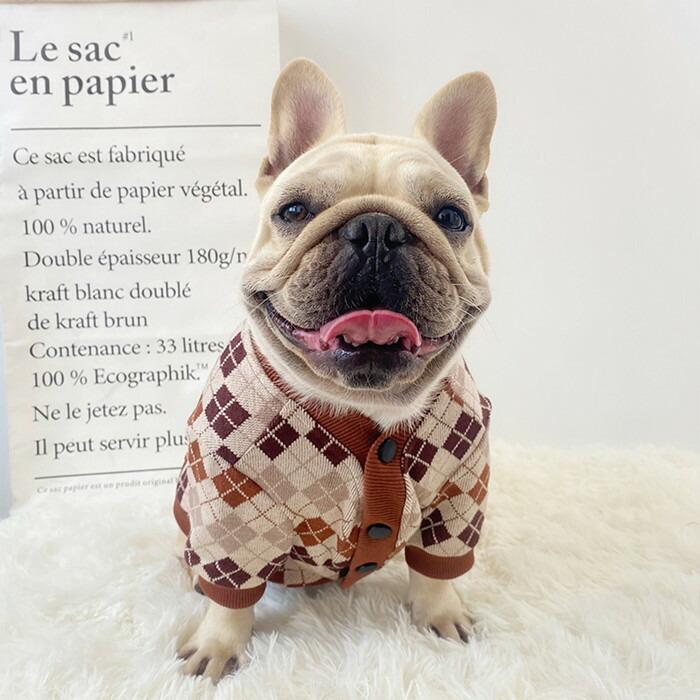 売り尽くし SALE返品交換不可 フレンチブルドッグ フレブル 秋冬 犬服