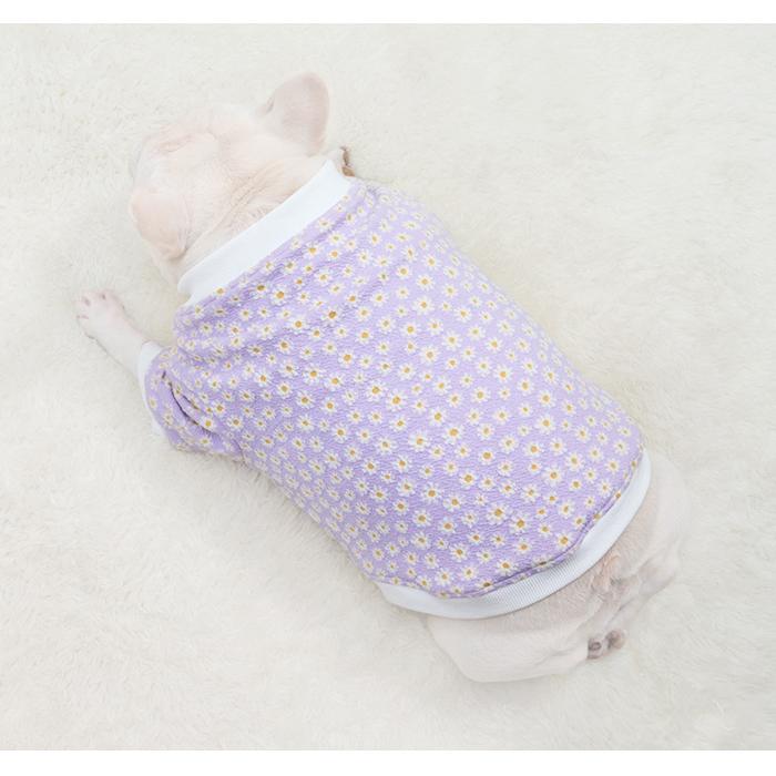  Sweater French Bulldog Purple 犬 Jellycat FRENCH BULLDOG PURPLE SWEATER - Small 7.5