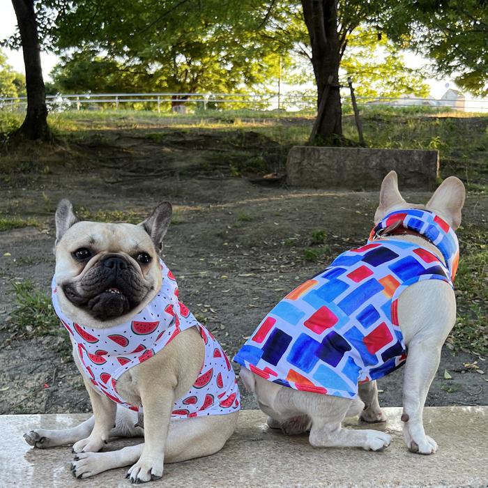 犬 フレンチブルドック 服 クール 接触冷感 夏服 中型犬 小型犬