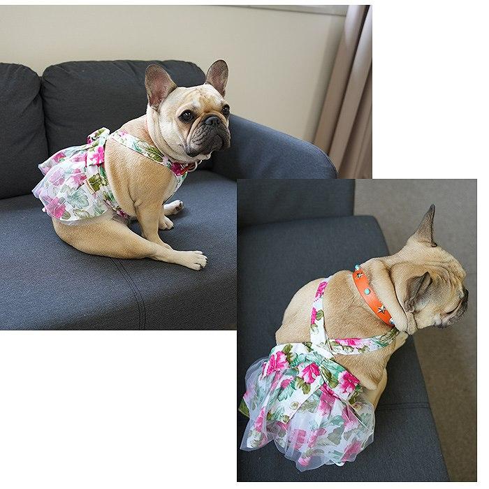 犬服 春 夏 秋 ワンピース フレンチブルドッグ 服 中型犬 フレブル 花