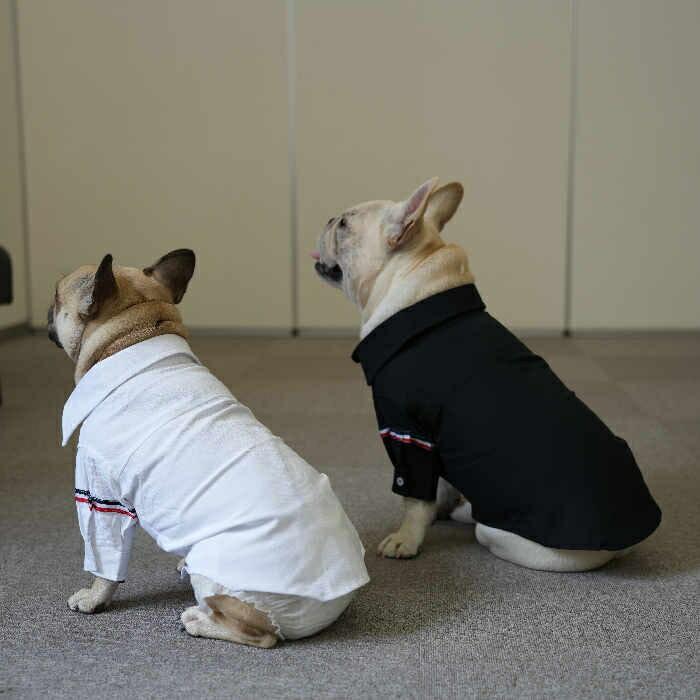 フレンチブルドッグ 服 ペットウェア シャツ 上品 高級感 無地