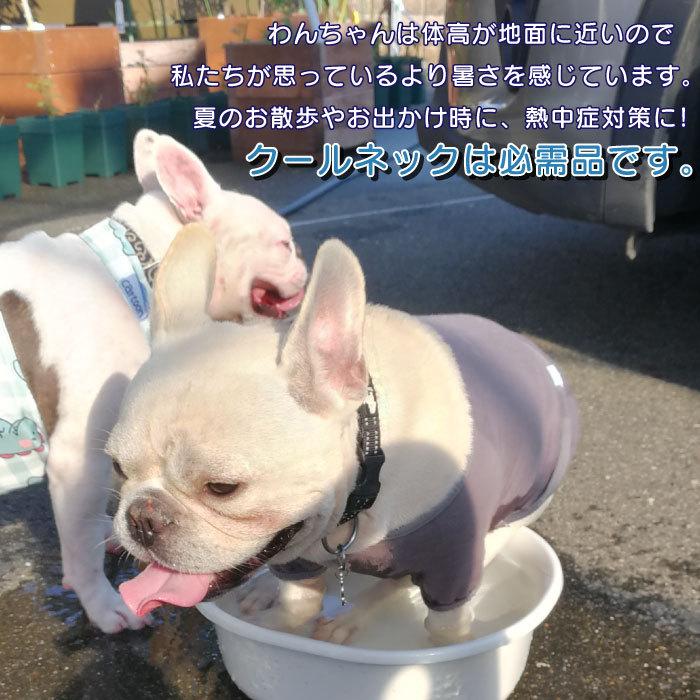犬 クールネック ひんやり グッズ 保冷剤 首 ペット 熱中症対策 クールスヌード 犬用 フレブル フレンチブルドッグ 中型犬 大型犬 夏 Km500g Bestwear 通販 Yahoo ショッピング
