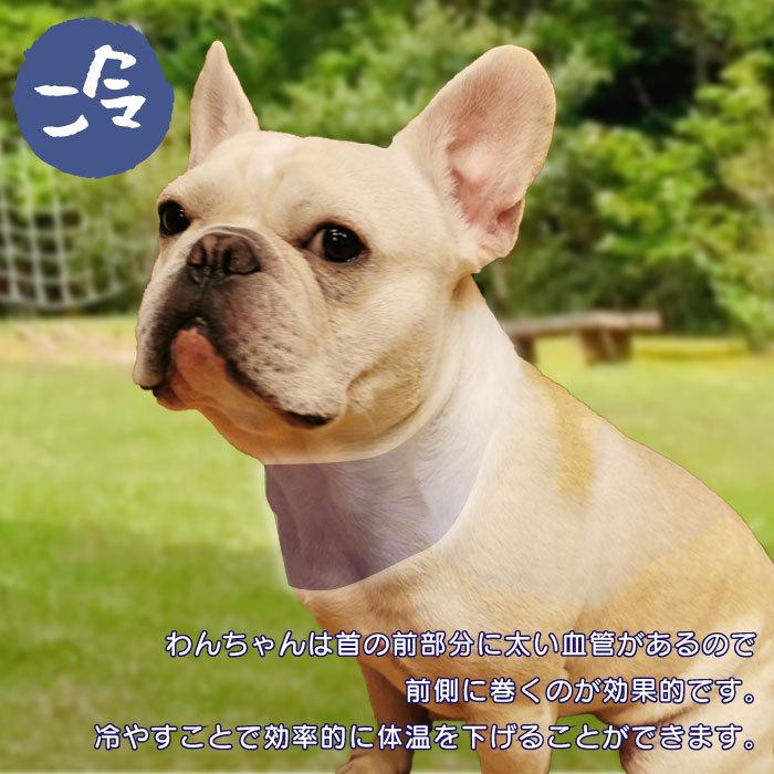 犬 クールネック ひんやり グッズ 保冷剤 首 ペット 熱中症対策 クールスヌード 犬用 フレブル フレンチブルドッグ 中型犬 大型犬 夏 Km500g Bestwear 通販 Yahoo ショッピング