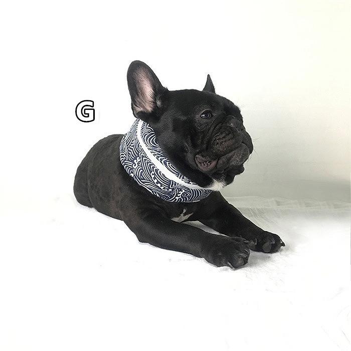 クールネック 暑さ対策グッズ ひんやりグッズ 保冷剤 首 クールスヌード 熱中症対策 犬用 フレブル フレンチブルドッグ 中型犬 大型犬 夏km501g Km501g Bestwear 通販 Yahoo ショッピング