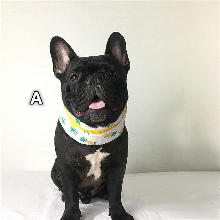 クールネック 暑さ対策グッズ ひんやりグッズ 保冷剤 首 クールスヌード 熱中症対策 犬用 フレブル フレンチブルドッグ 中型犬 大型犬 夏km501g Km501g Bestwear 通販 Yahoo ショッピング