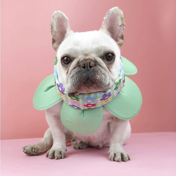 フレンチブルドッグ 花型クールネック クールスヌード 熱中症対策 犬用 フレブル 涼しい 犬用 アクセサリー ひんやり快適 ペット用品 犬用 お散歩 Km502g Km502g Bestwear 通販 Yahoo ショッピング