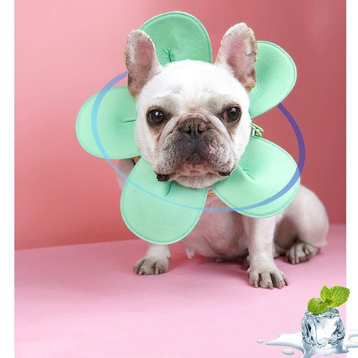 フレンチブルドッグ 花型クールネック クールスヌード 熱中症対策 犬用 フレブル 涼しい 犬用 アクセサリー ひんやり快適 ペット用品 犬用 お散歩 Km502g Km502g Bestwear 通販 Yahoo ショッピング