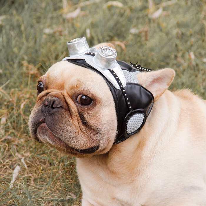 ペット用帽子 犬 フレンチブルドッグ 帽子 コーギー 中型犬 大型犬 フライング キャップ帽子 フレブル 格好いい おしゃれ Km504g Km504g Bestwear 通販 Yahoo ショッピング