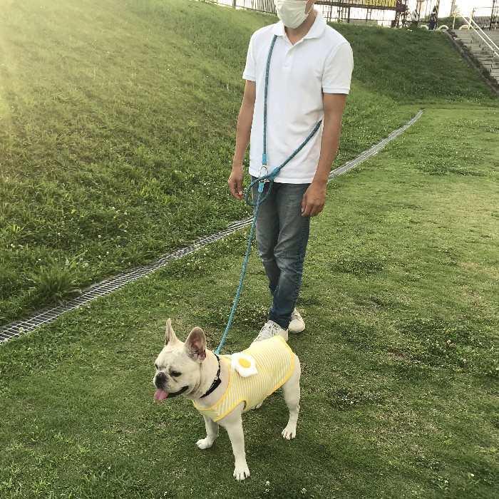 送料無料 犬 肩掛け リード ショルダーリード フレンチブルドッグ ハンズフリー 超小型犬 小型犬 中型犬 大型犬 肩かけリード ペット Km523g Km523g Bestwear 通販 Yahoo ショッピング