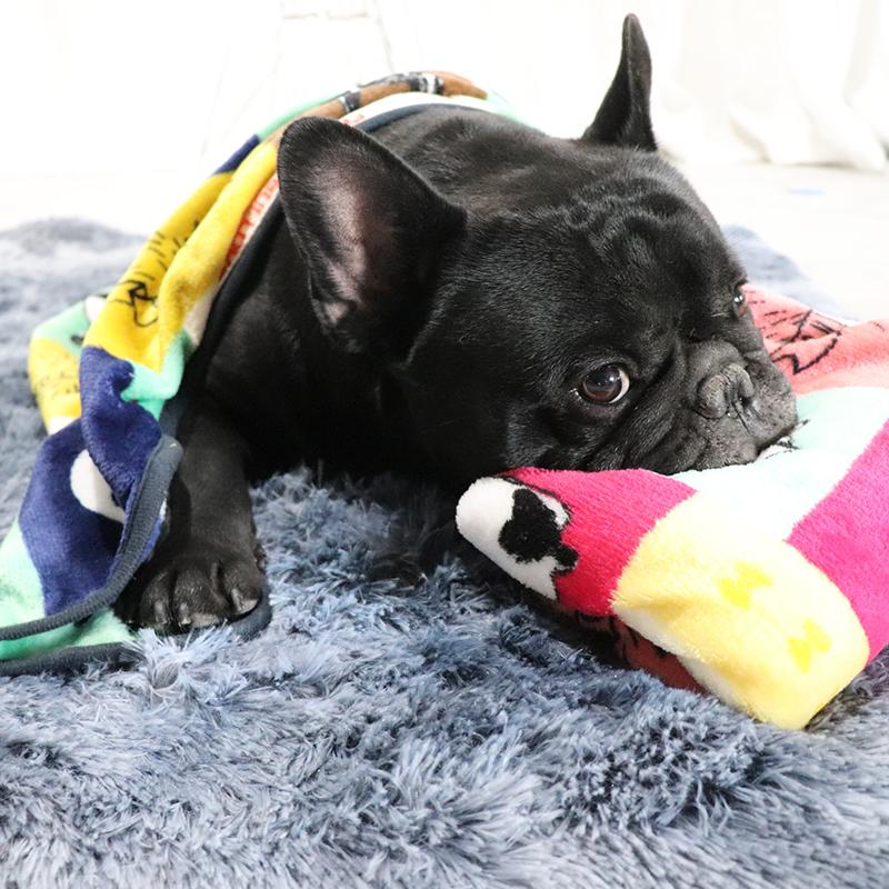 フレブル フレンチブルドッグ 雑貨 グッズ 動物 アニマル ラグ タオルケット ひざ掛け Frenchbulldog 犬柄 Km527g Km527g Best Wear 通販 Yahoo ショッピング