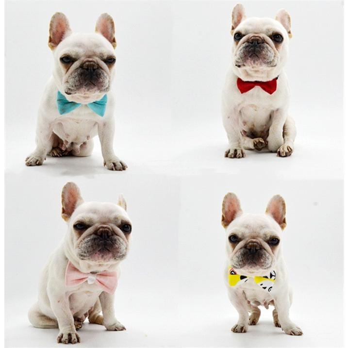 犬 蝶ネクタイ フレンチブルドック リボン 首輪 かわいい 猫 インスタ映え チョーカー パーティー 結婚式 正装 春 春用 おすすめ ペット用品 誕生日 ギフト Km528g Bestwear 通販 Yahoo ショッピング