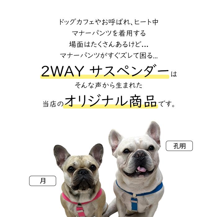 新カラー追加 犬 おむつ サスペンダー 犬用サスペンダー  ペットウェア ずれにくい 2点留め 3点留め 無地 かわいい おしゃれ KM534G｜bluedays｜12