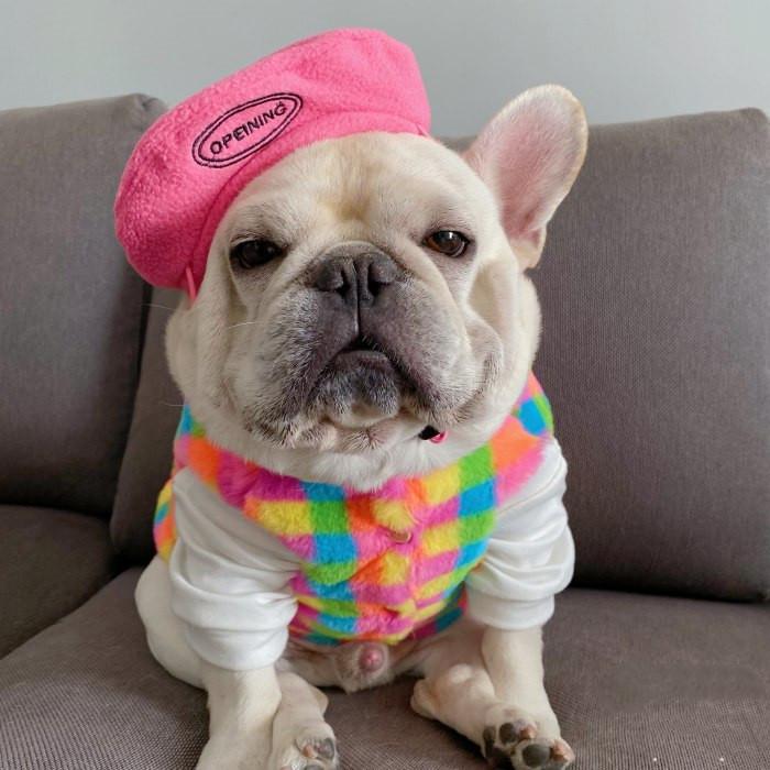 ペットベレー帽 帽子 おしゃれ 柴犬 秋田犬フレンチブルドッグ