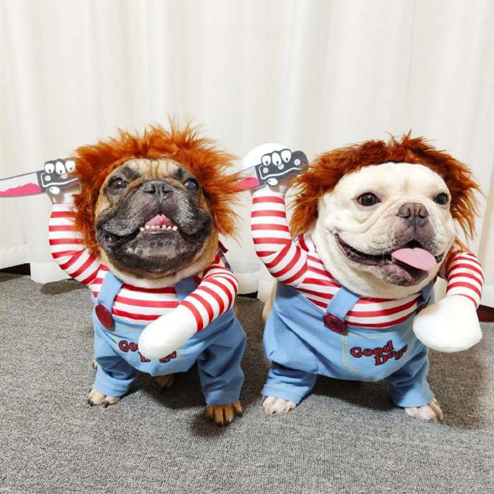 フレブル おもしろグッズ 変装 フレンチブルドッグ 服 コスプレ服 ハロウィン クリスマスプレゼント 小型犬 中型犬 大型犬 厚手 アウター 可愛い 防寒 Km554g Km554g Bestwear 通販 Yahoo ショッピング