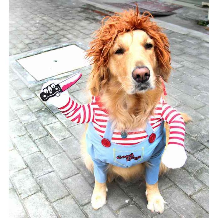 フレブル おもしろグッズ 変装 フレンチブルドッグ 服 コスプレ服 ハロウィン クリスマスプレゼント 小型犬 中型犬 大型犬 厚手 アウター 可愛い 防寒 Km554g Km554g Bestwear 通販 Yahoo ショッピング