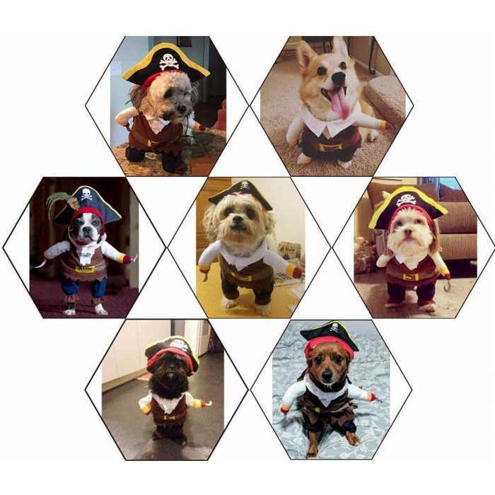 ペット変装 海賊 おもしろグッズ 変装 フレンチブルドック ペット服 犬