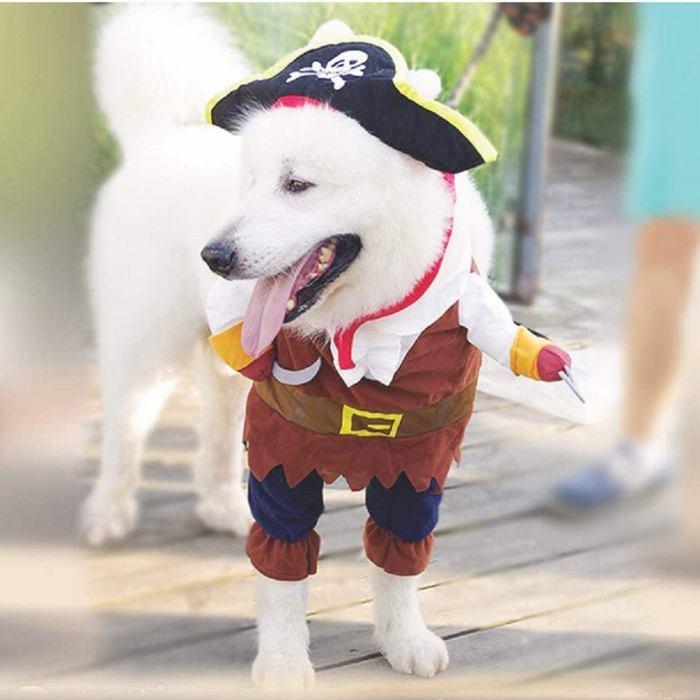 ペット変装 海賊 おもしろグッズ 変装 フレンチブルドック ペット服 犬服 コスプレ 可愛い 猫服 犬用 コスプレ ハロウィン 小型犬 中型犬 変身服 出掛け Km561g Km561g Bestwear 通販 Yahoo ショッピング