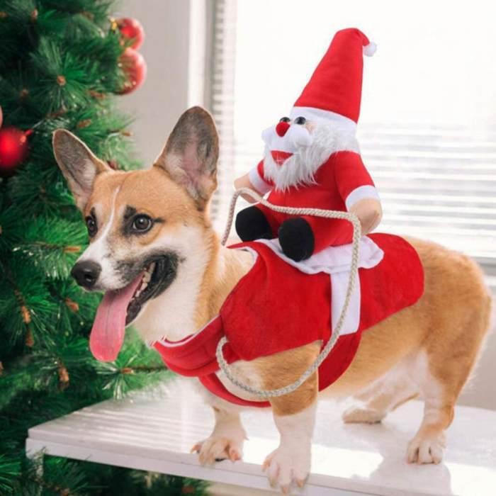 ペット用 サンタさんコスプレ クリスマス レッド おもしろグッズ 変装 ペットコスチューム ペット服 パーティー フレンチブルドック 猫 小型犬 中型犬 Km562g Km562g Bestwear 通販 Yahoo ショッピング