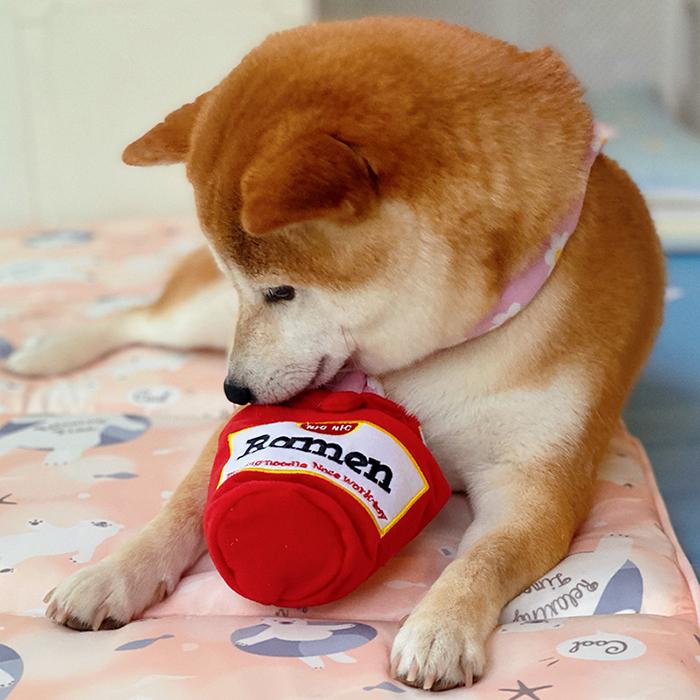 犬 おもちゃ 知育玩具 ノーズワーク トレーニング ペット ストレス解消