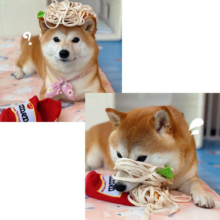 犬 おもちゃ 音が鳴る ペット おやつ 訓練 ラーメン スニッフィング 知育玩具 知育トイ ノーズワーク トレーニング ヌードル Km617g New Km617g Bestwear 通販 Yahoo ショッピング
