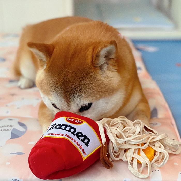 犬 おもちゃ 知育玩具 ノーズワーク トレーニング ペット ストレス解消