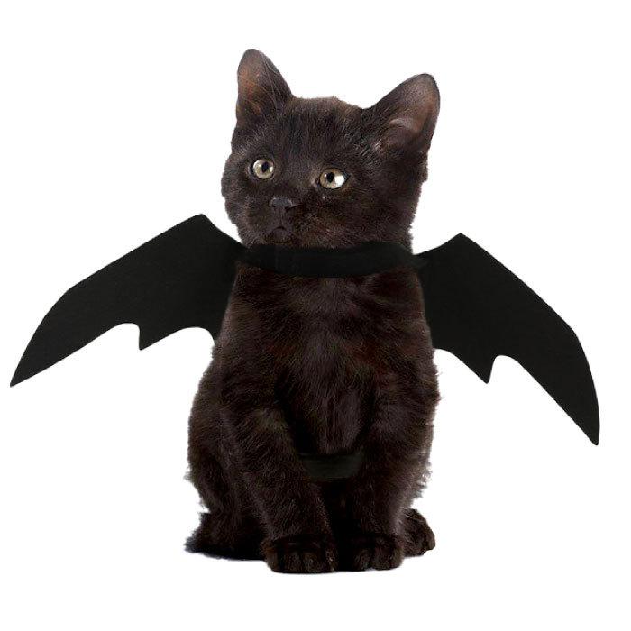 犬 ハロウィン コスプレ 衣装 マジックテープ コウモリ コスチューム