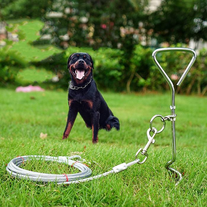 ドッグポール ワイヤーリードセット 埋め込み 係留ステッキ グラウンド