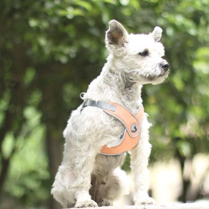 犬 ハーネス リードセット リード付き Vネック 痛くない 中型犬 小型犬