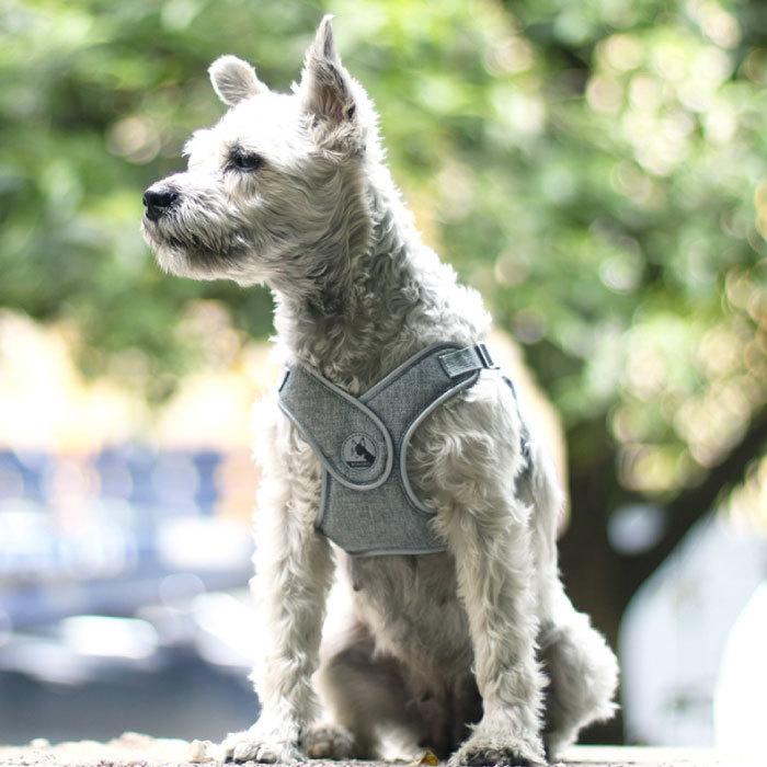 犬 ハーネス リードセット リード付き Vネック 痛くない 中型犬 小型犬