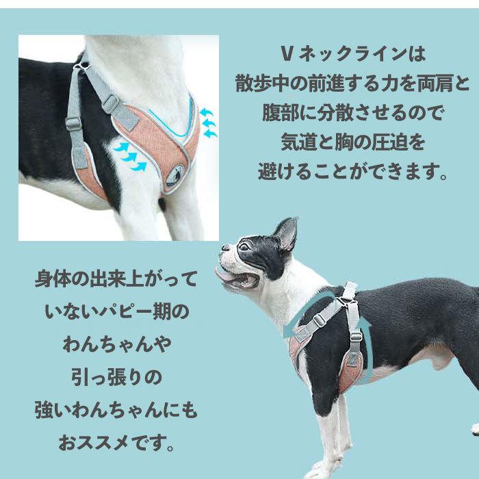 ハーネスリードセット imgrc0087301102.jpg