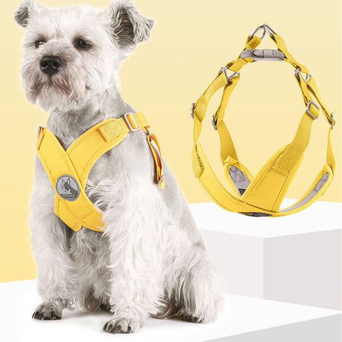 ciiron レモンカラー　Sサイズハーネスとリードセット　犬 ciiron tokyo ハーネス Lemon レモン Sサイズ シーロン ハーネス