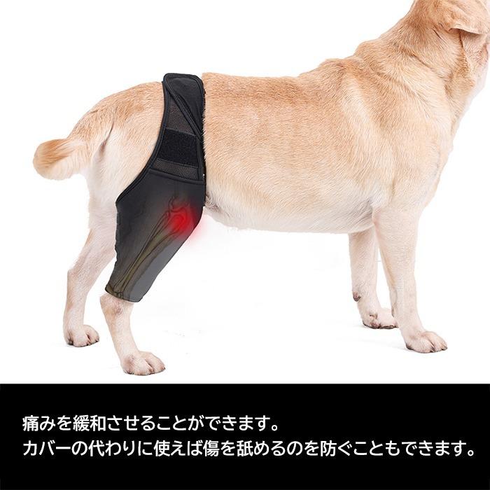 平成レトロ Ｓａｎ−ｘ スポケン 学校ジャージのアスリート犬 首下げストラップ SAINT M×××××× - 【限定】SM-YS8-0000-C29 / AP_TRACK JKT / ST