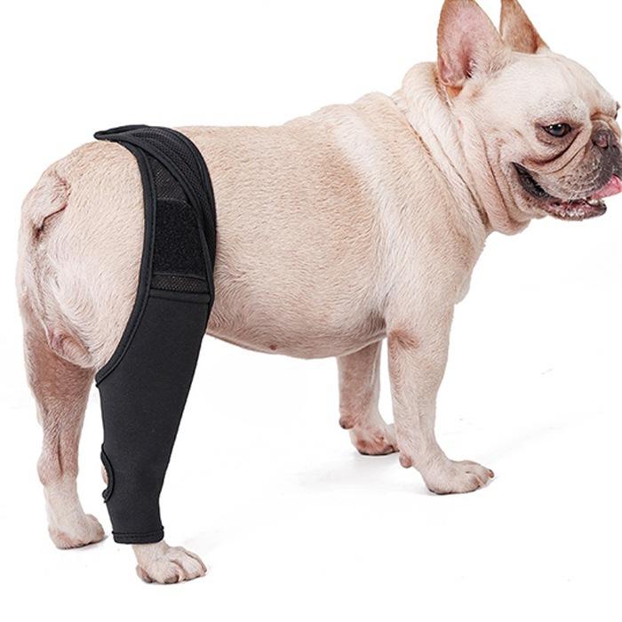 最大68 オフ M Black 犬用 リハビリ 用品 小型犬 中型 大型犬 サポーター 前 Dprd Jatimprov Go Id