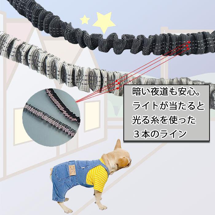新色追加 伸縮リード 2頭引きリード ダブルリード 反射ライン 夜散歩