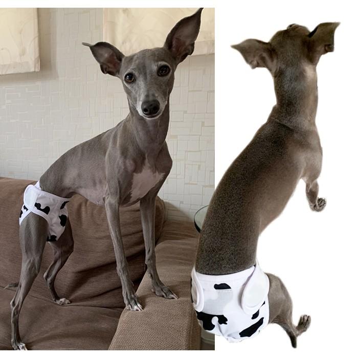 サイズ交換、返品対象外 マナーパンツ 犬 フレンチブルドック